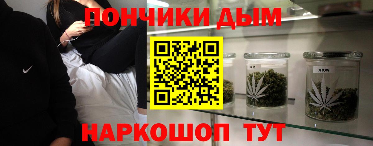 Канабис планчик Дубна